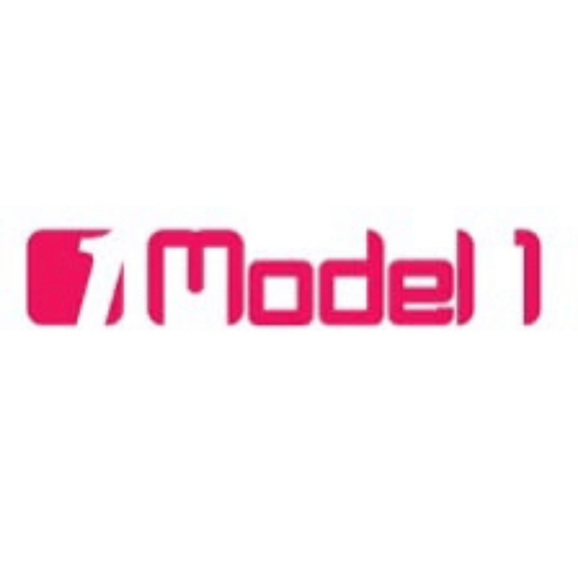 MODEL 1