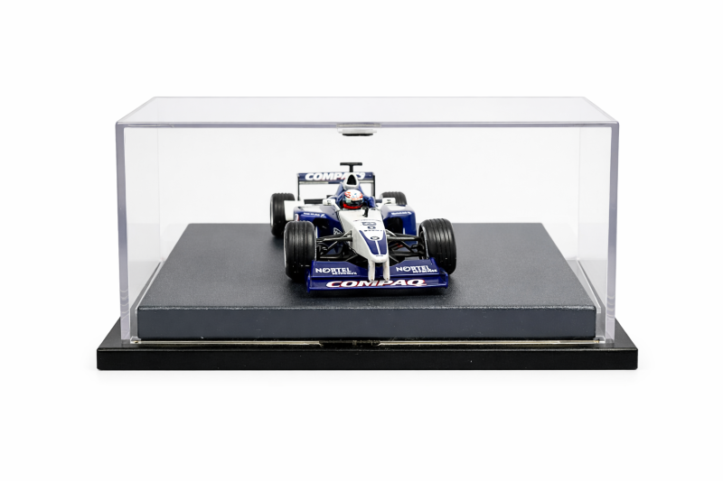 F1 Williams Team FW23 Juan Pablo Montoya