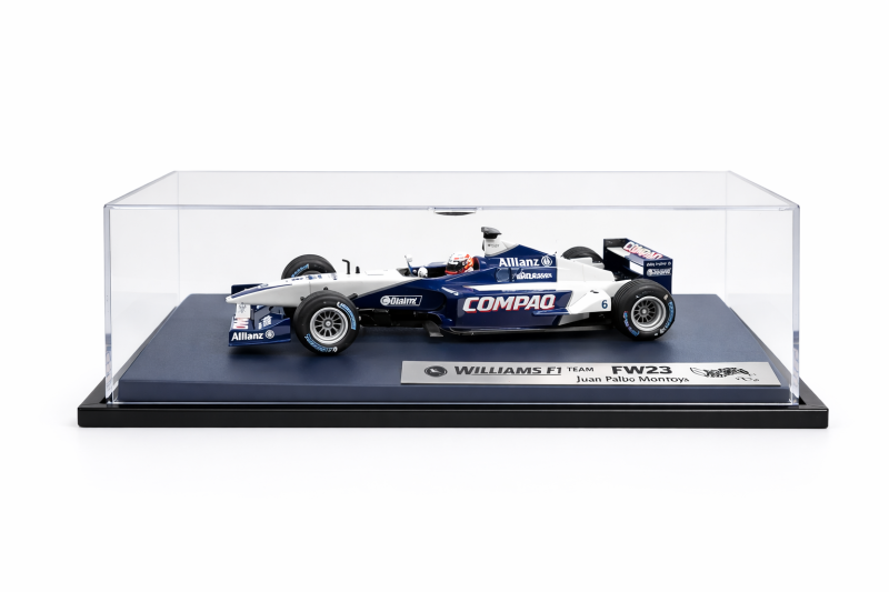 F1 Williams Team FW23 Juan Pablo Montoya